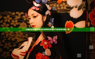 只狼彩色壬生气球怎么获得 彩色壬生气球获取攻略一览
