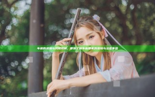 车震的浪漫与风险揭秘，带你了解车震带来的激情与注意事项