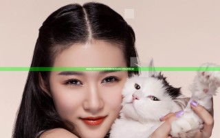 黄漫画大全 女性向与男性向漫画精选 真实体验与梦幻故事汇聚