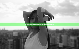 李宗瑞全集深度剖析与影响力探讨全面解读