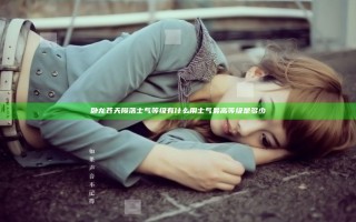 卧龙苍天陨落士气等级有什么用 士气最高等级是多少