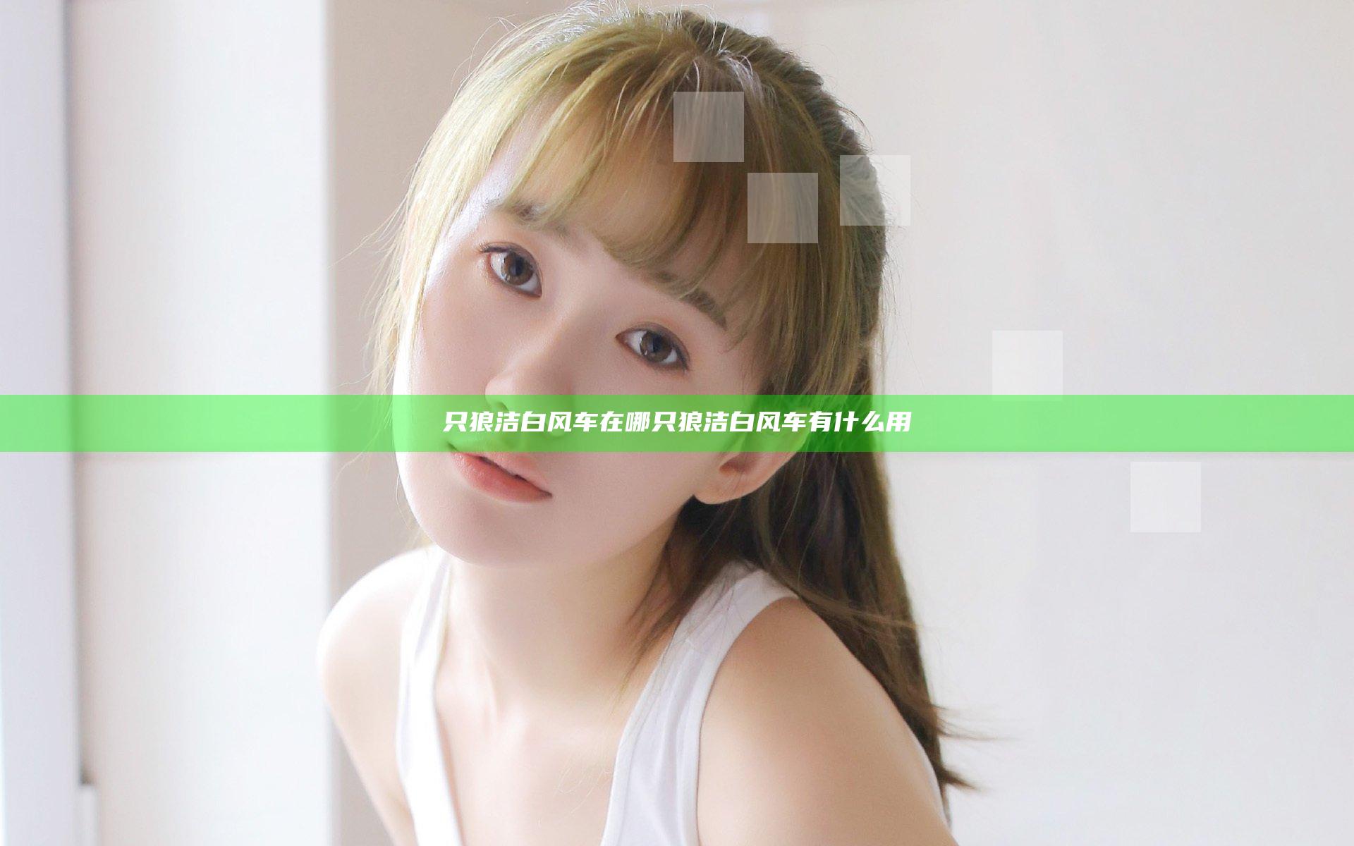 只狼洁白风车在哪 只狼洁白风车有什么用