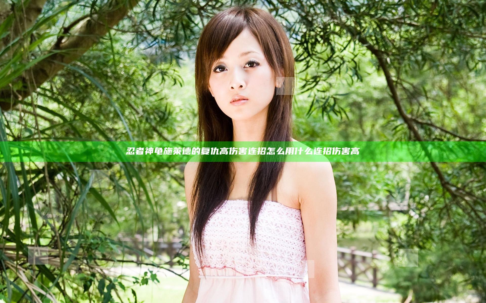 忍者神龟施莱德的复仇高伤害连招怎么用 什么连招伤害高